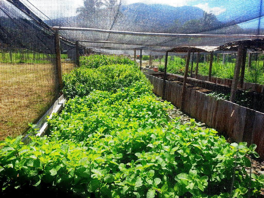 Guerrera Rice Paddy Villas Mambajao Εξωτερικό φωτογραφία