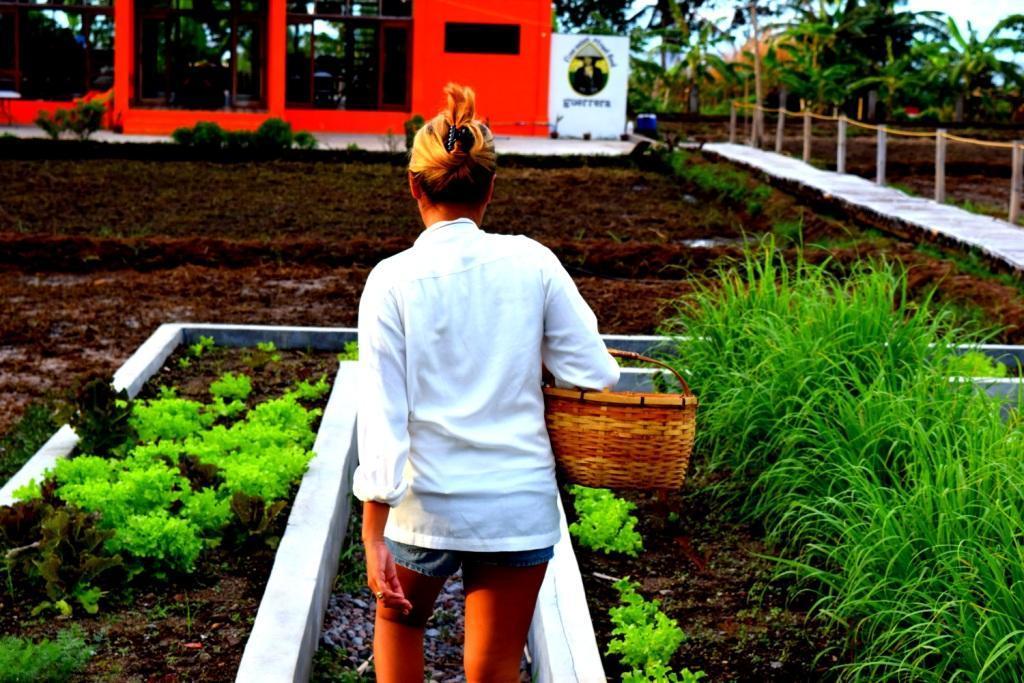 Guerrera Rice Paddy Villas Mambajao Εξωτερικό φωτογραφία