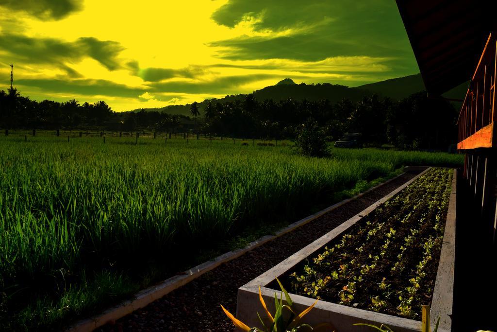 Guerrera Rice Paddy Villas Mambajao Εξωτερικό φωτογραφία