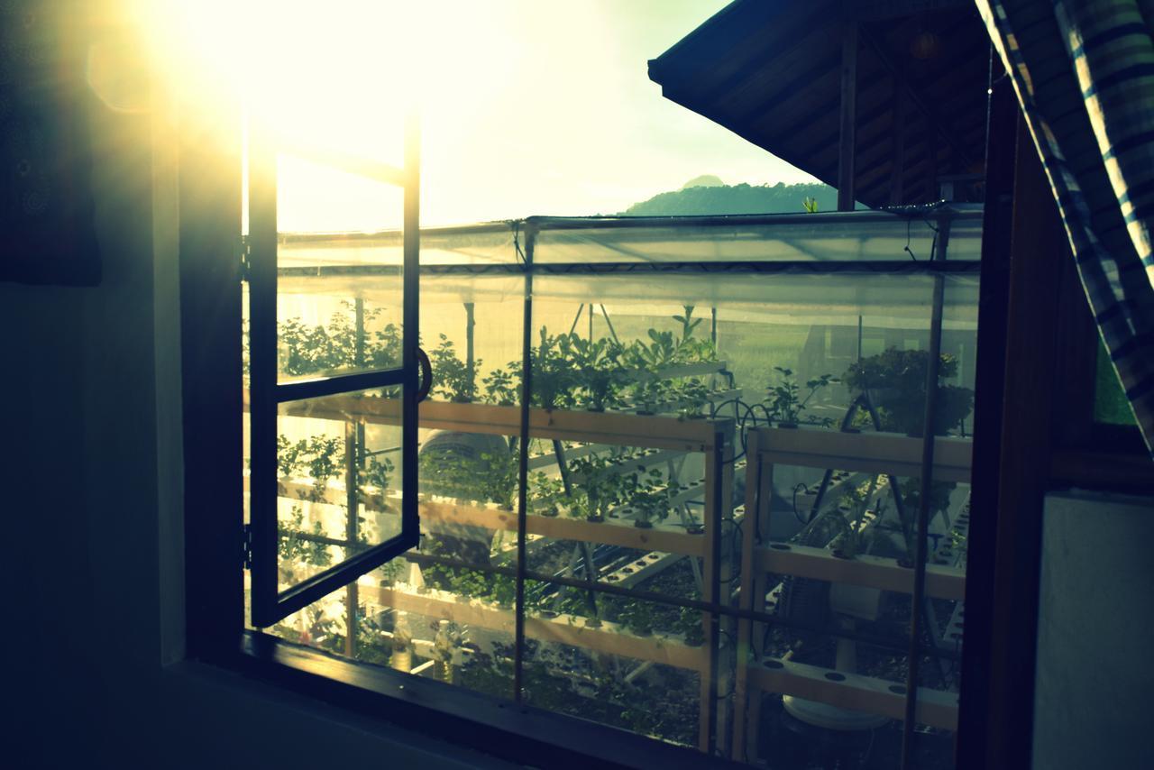 Guerrera Rice Paddy Villas Mambajao Εξωτερικό φωτογραφία